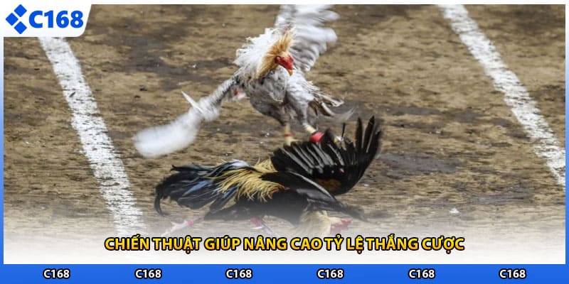 Chiến thuật giúp nâng cao tỷ lệ thắng cược