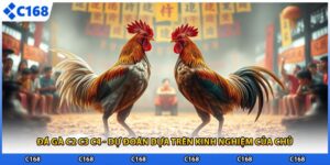 Đá Gà C2 C3 C4 - Dự Đoán Dựa Trên Kinh Nghiệm Của Chủ