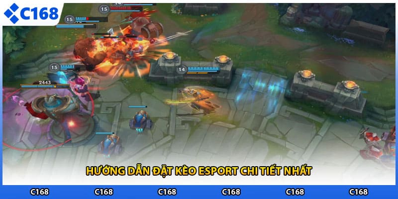 Hướng dẫn đặt kèo esport chi tiết nhất